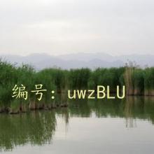 ƶ